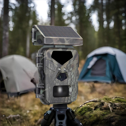 Caméra de Chasse Solaire | Surveillance Professionnelle P120